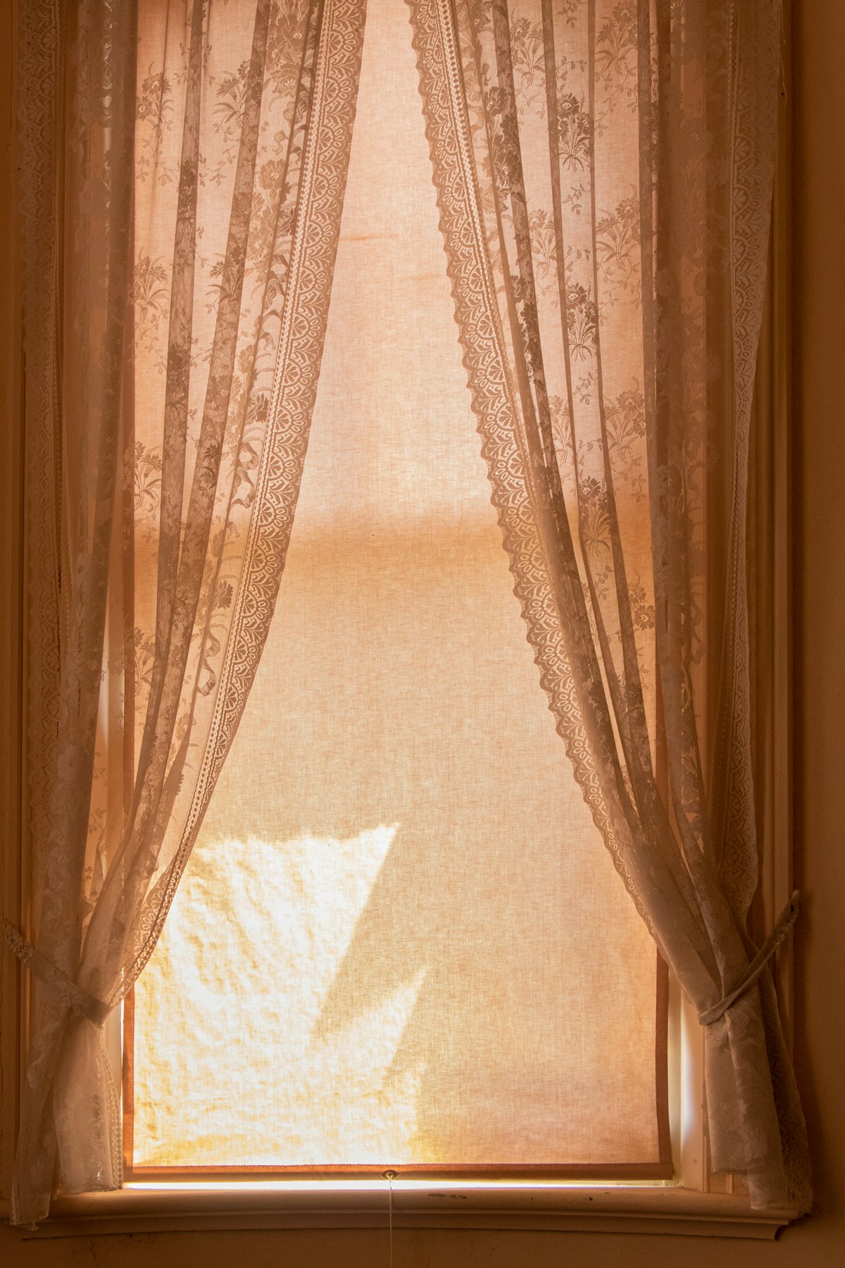 Woven Jacquard